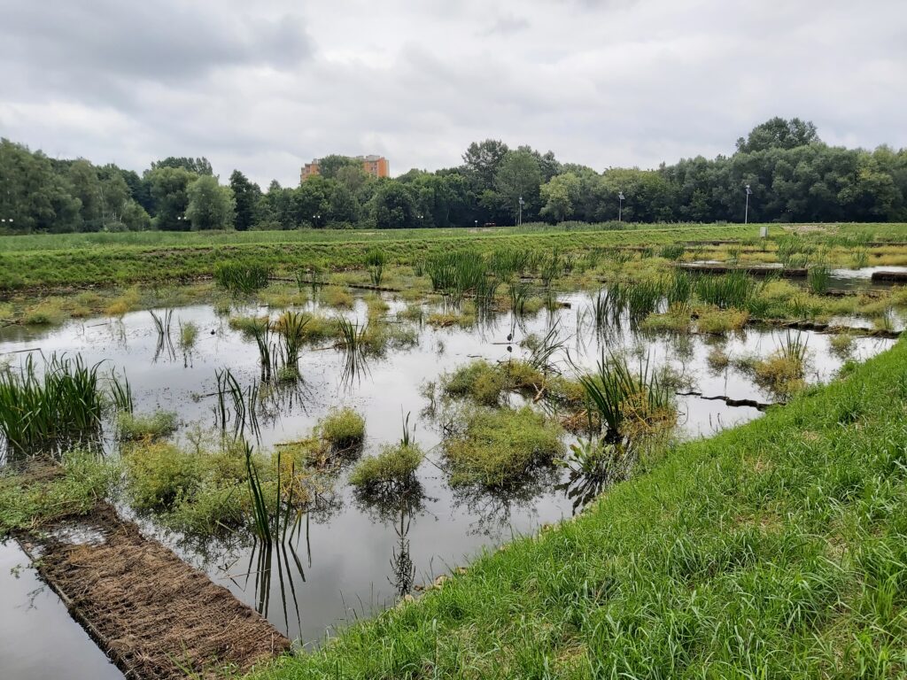 Adaptation to climate change through sustainable management of water of the urban area in Radom City (Poland)