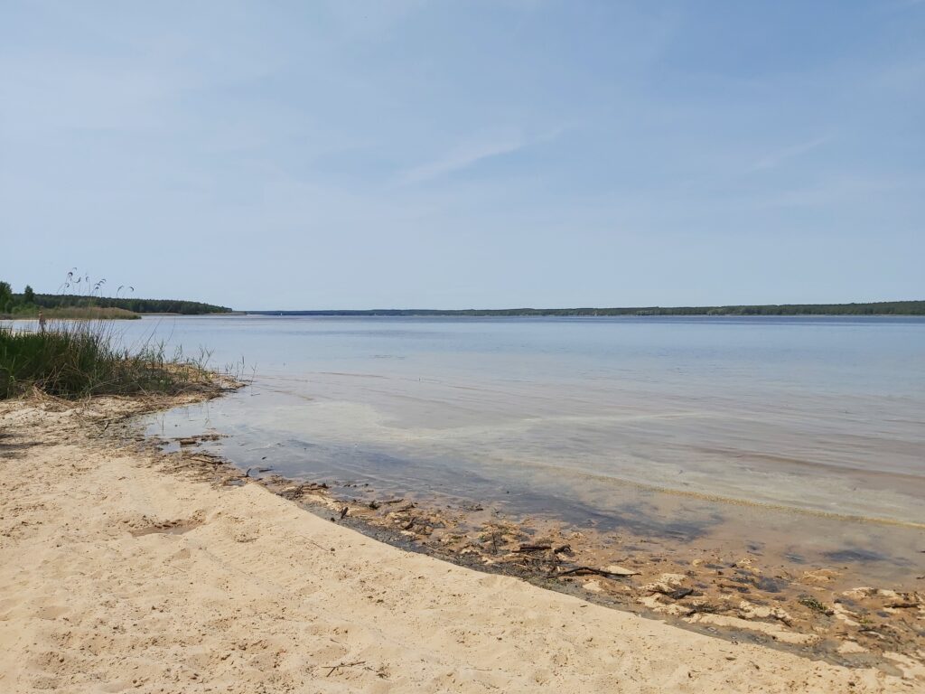 Ecohydrology Urban Site